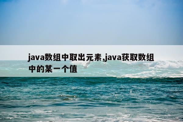 java数组中取出元素,java获取数组中的某一个值