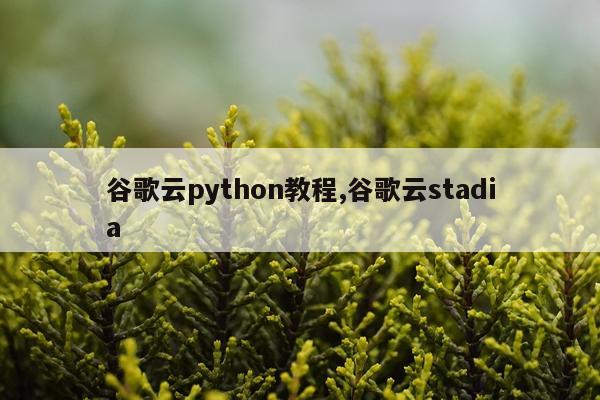 谷歌云python教程,谷歌云stadia