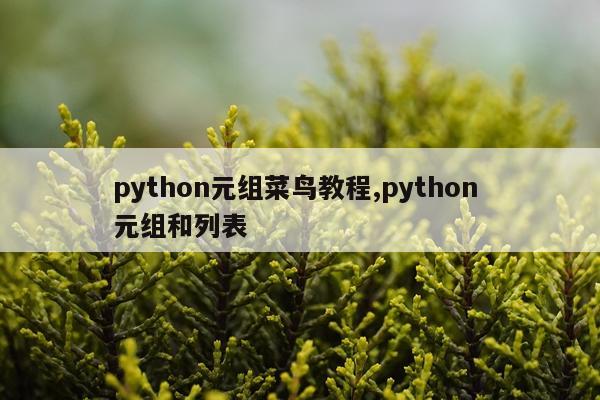 python元组菜鸟教程,python 元组和列表