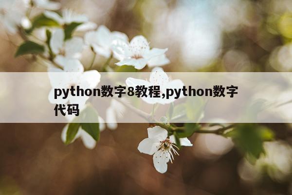 python数字8教程,python数字代码