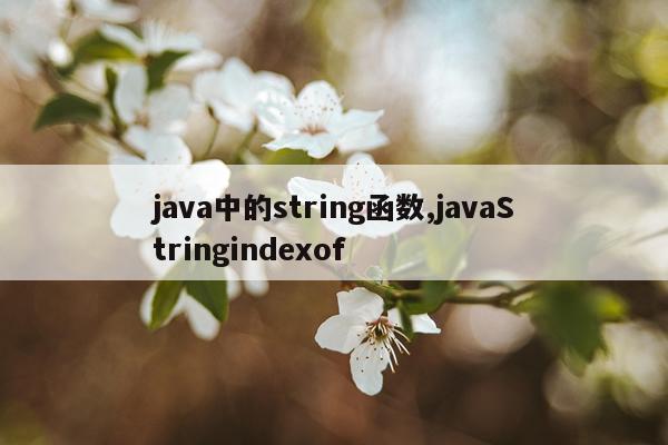 java中的string函数,javaStringindexof