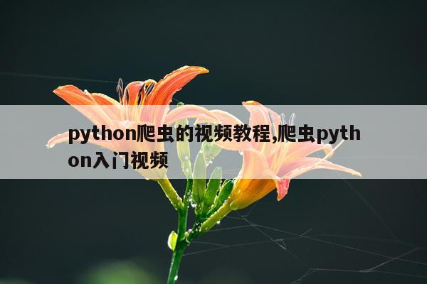 python爬虫的视频教程,爬虫python入门视频