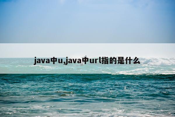 java中u,java中url指的是什么