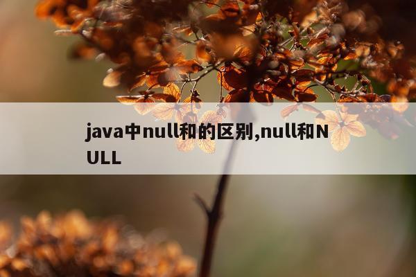 java中null和的区别,null和NULL