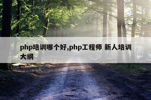 php培训哪个好,php工程师 新人培训大纲