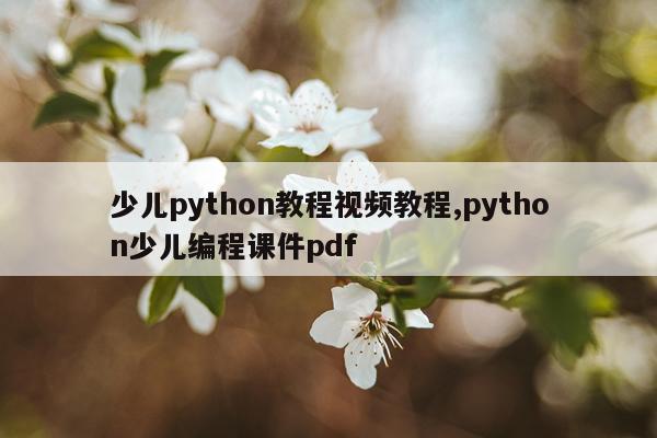 少儿python教程视频教程,python少儿编程课件pdf