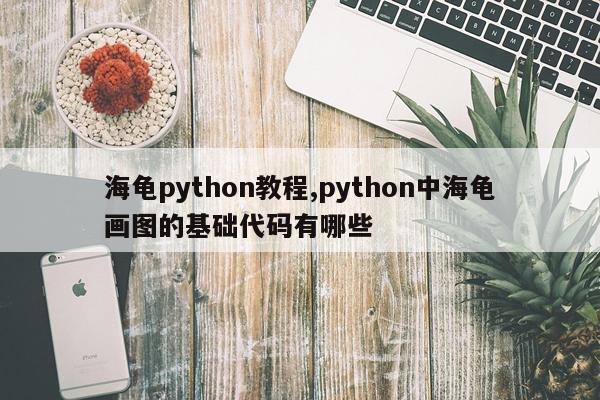 海龟python教程,python中海龟画图的基础代码有哪些