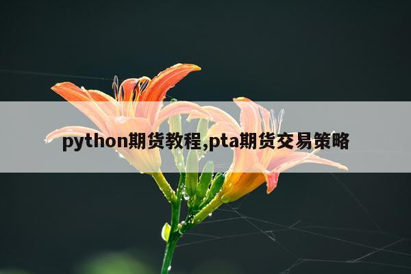 python期货教程,pta期货交易策略