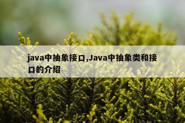 java中抽象接口,Java中抽象类和接口的介绍