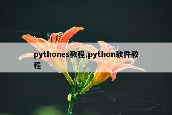 pythones教程,python软件教程