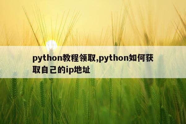 python教程领取,python如何获取自己的ip地址