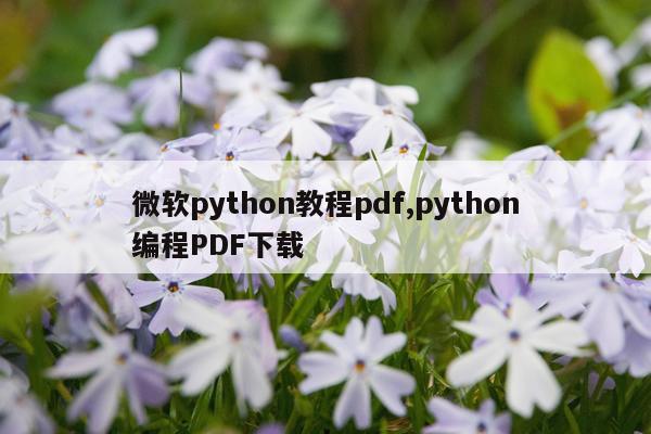 微软python教程pdf,python编程PDF下载