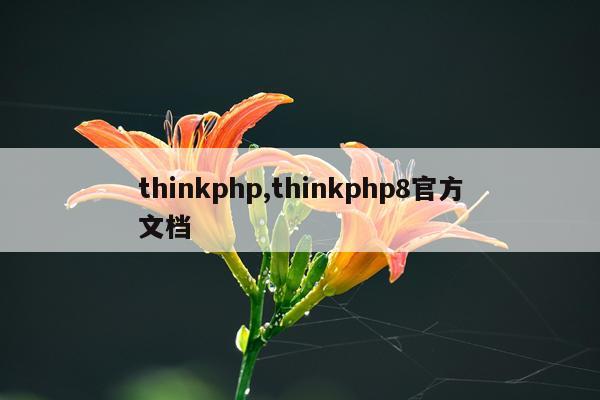 thinkphp,thinkphp8官方文档