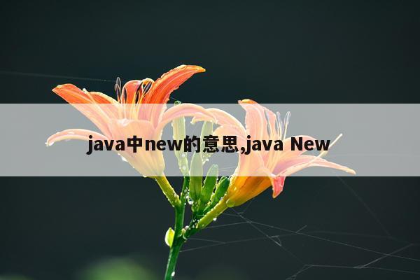 java中new的意思,java New