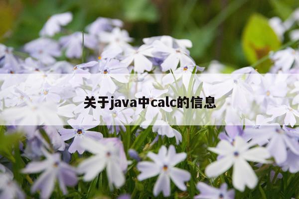 关于java中calc的信息