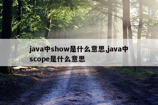 java中show是什么意思,java中scope是什么意思