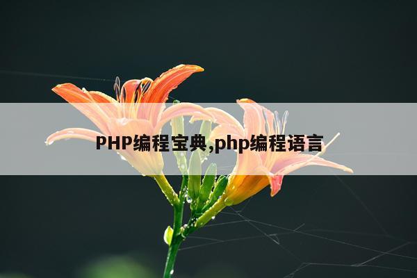 PHP编程宝典,php编程语言