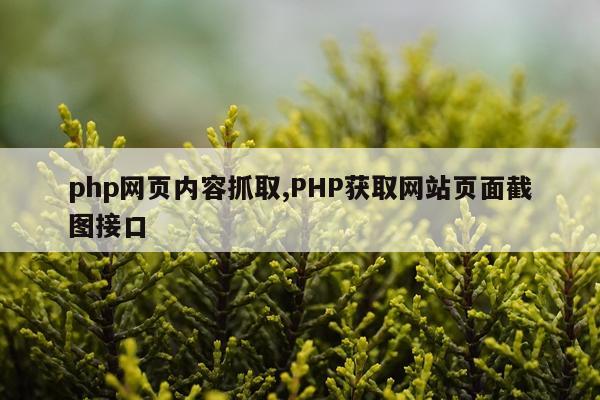 php网页内容抓取,PHP获取网站页面截图接口