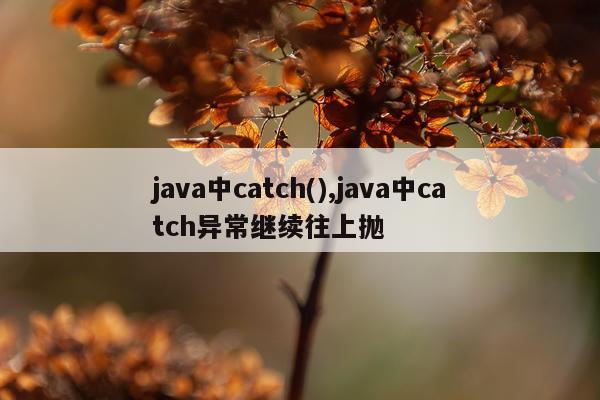 java中catch(),java中catch异常继续往上抛
