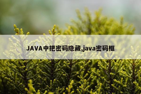 JAVA中把密码隐藏,java密码框