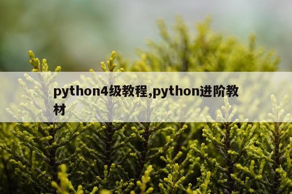 python4级教程,python进阶教材