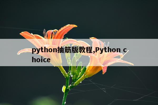 python抽筋版教程,Python choice