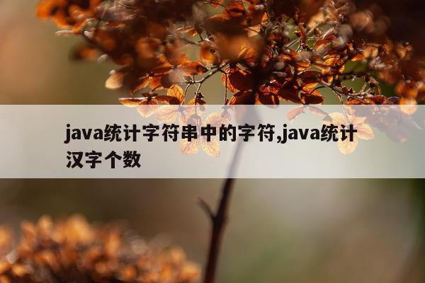 java统计字符串中的字符,java统计汉字个数