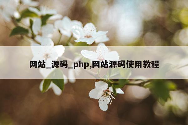 网站_源码_php,网站源码使用教程
