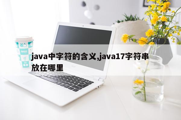 java中字符的含义,java17字符串放在哪里
