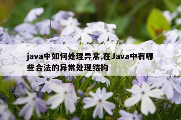 java中如何处理异常,在Java中有哪些合法的异常处理结构