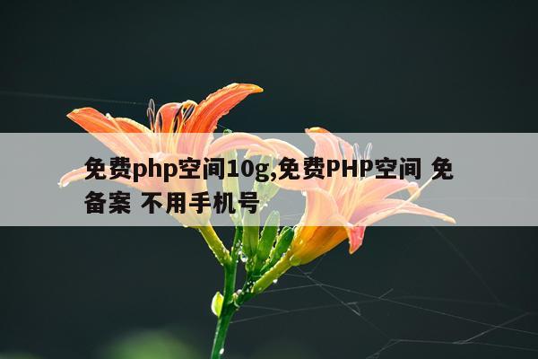 免费php空间10g,免费PHP空间 免备案 不用手机号