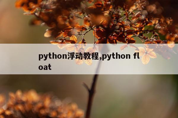 python浮动教程,python float