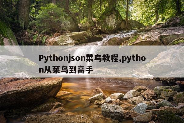 Pythonjson菜鸟教程,python从菜鸟到高手