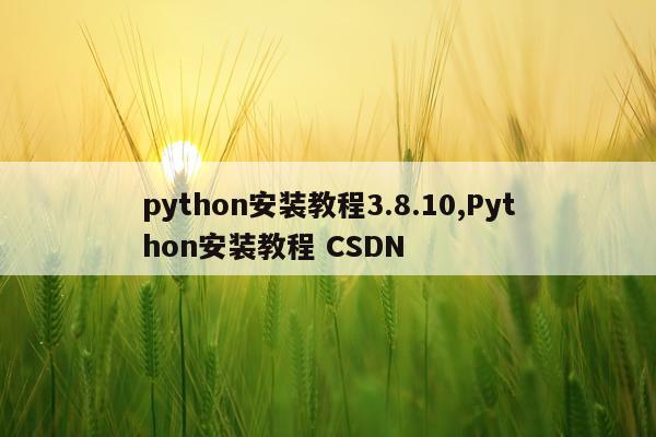 python安装教程3.8.10,Python安装教程 CSDN