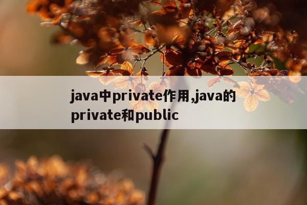 java中private作用,java的private和public