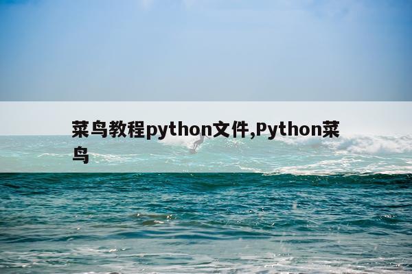 菜鸟教程python文件,Python菜鸟