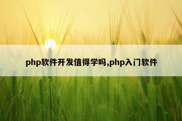 php软件开发值得学吗,php入门软件