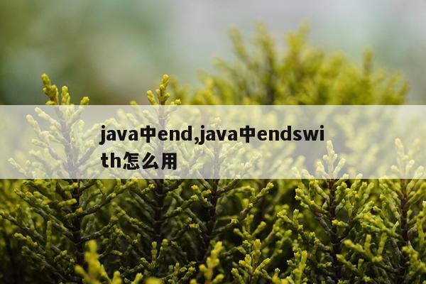 java中end,java中endswith怎么用