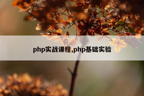 php实战课程,php基础实验