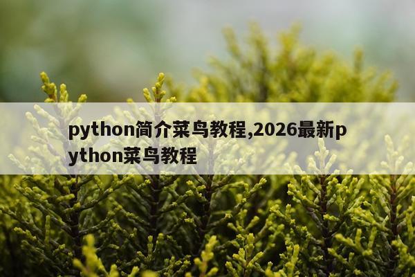python简介菜鸟教程,2026最新python菜鸟教程