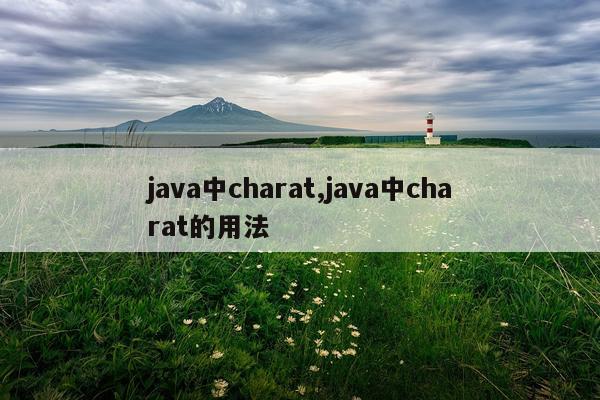 java中charat,java中charat的用法