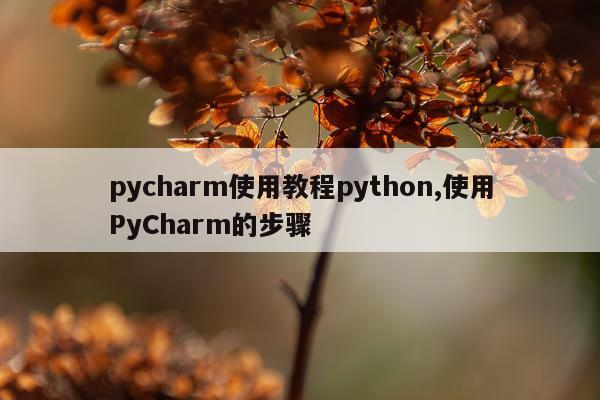 pycharm使用教程python,使用PyCharm的步骤