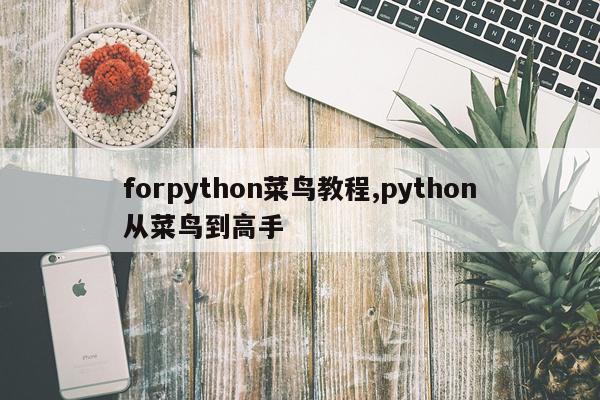 forpython菜鸟教程,python从菜鸟到高手