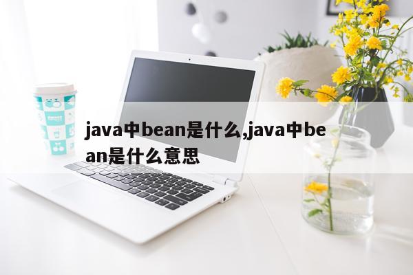 java中bean是什么,java中bean是什么意思