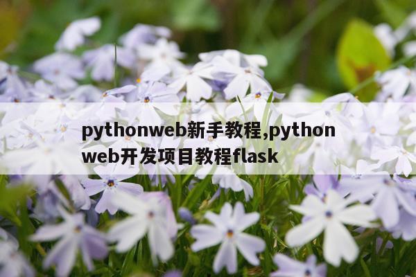 pythonweb新手教程,pythonweb开发项目教程flask