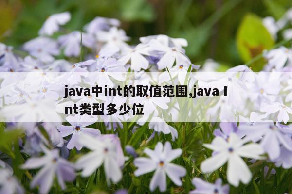 java中int的取值范围,java Int类型多少位