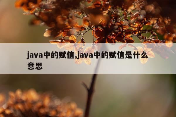 java中的赋值,java中的赋值是什么意思