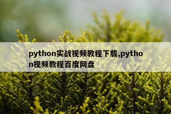 python实战视频教程下载,python视频教程百度网盘