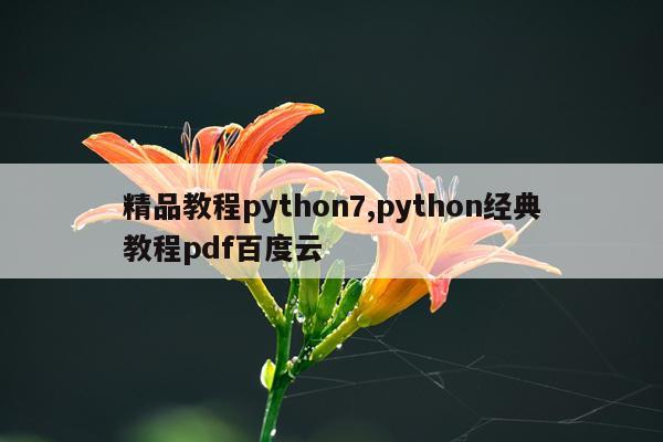 精品教程python7,python经典教程pdf百度云