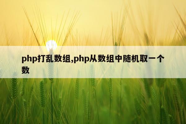 php打乱数组,php从数组中随机取一个数